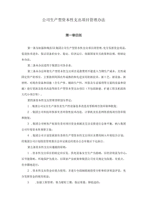 公司生产型资本性支出项目管理办法.docx