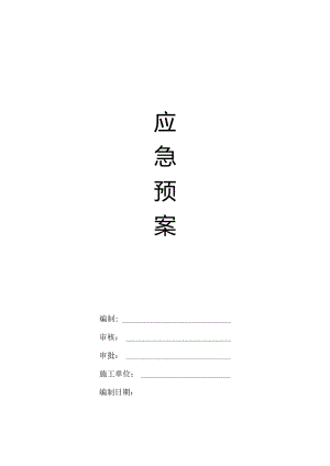 应急预案.docx