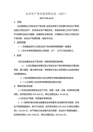 安全生产责任制考核办法（试行）.docx