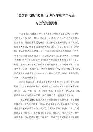 县区委书记在区委中心组关于巡视工作学习上的发言提纲.docx
