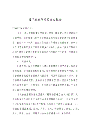 建筑工程项目自查报告.docx