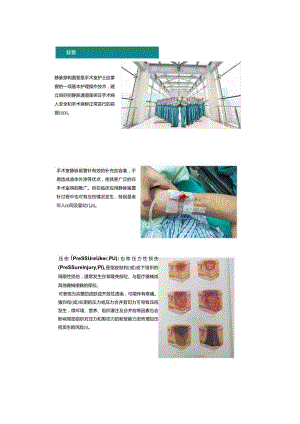 (PPT课件)手术室静脉留置针局部皮肤护理与案例.docx