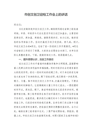 市创文创卫迎检工作会上的讲话.docx
