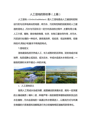 人工湿地的那些事（上篇）.docx