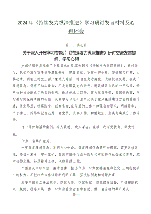 2024年《持续发力纵深推进》学习研讨发言材料及心得体会.docx