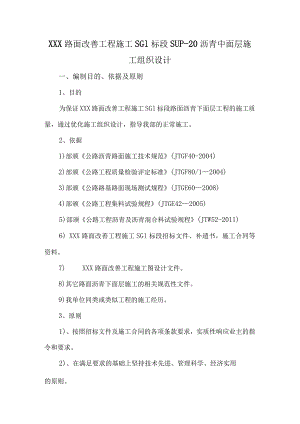 XXXX项目SUP20施工组织设计.docx