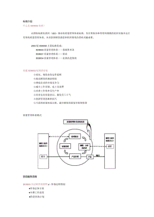 ISO9000全过程咨询流程.docx