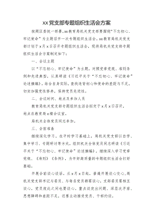 xx党支部专题组织生活会方案.docx