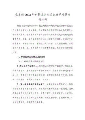 2篇支部班子2023-2024年度班子对照检查材料（六个方面）.docx