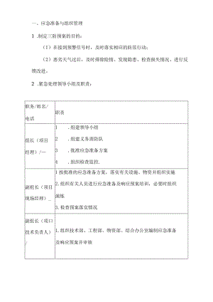 xxx项目三防应急预案.docx