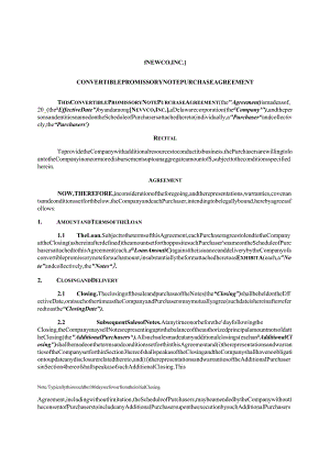 convertiblepromissorynotepurchaseagreement.docx