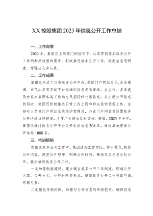 XX控股集团2023年信息公开工作总结（20231219）.docx