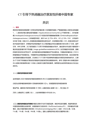 CT引导下热消融治疗原发性肝癌中国专家共识.docx