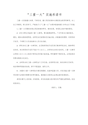 “三重一大”实施承诺书.docx