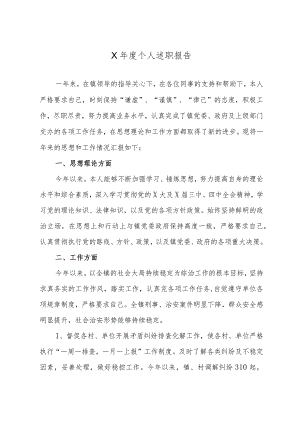 X年度个人述职报告.docx