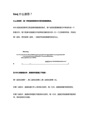 bsq什么意思.docx