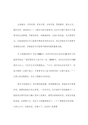 《新时代的中国青年》白皮书读后感3篇心得1.docx