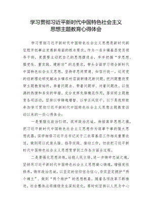 2024年第一批第二批主题教育学习心得体会报告研讨发言材料.docx