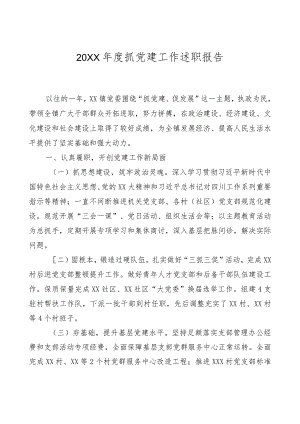 20XX年度抓党建工作述职报告.docx