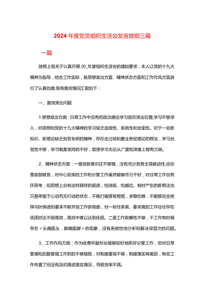 2024年度党员组织生活会发言提纲三篇.docx