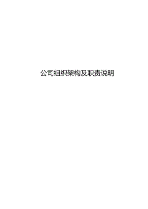 ITSS-05-02公司运维组织架构及职责权限.docx