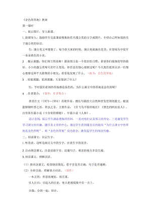 《金色的草地》教案.docx