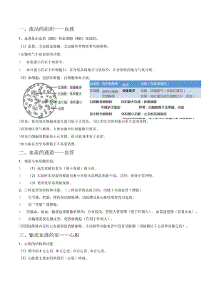 3人体内的物质运输.docx