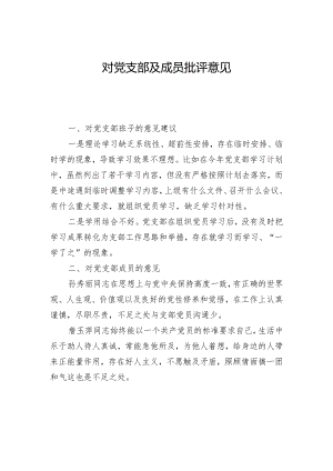 2024年党员干部对党支部及成员批评意见（教师）.docx