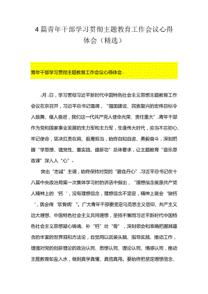 4篇青年干部学习贯彻主题教育工作会议心得体会（精选）.docx