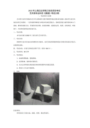 上海立达职业技术学院艺术系专业技能考试复习要点.docx