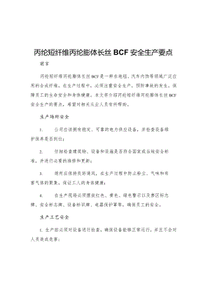 丙纶短纤维丙纶膨体长丝BCF安全生产要点.docx