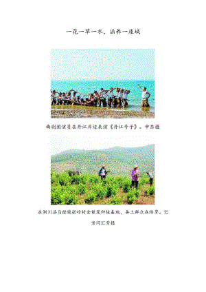 一花一草一水涵养一座城.docx