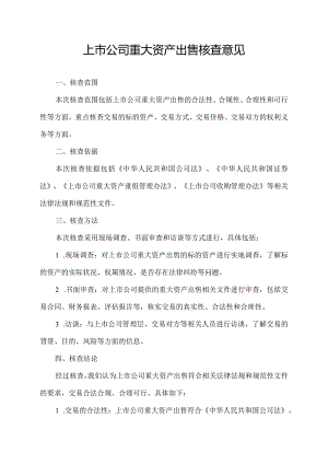 上市公司重大资产出售核查意见.docx