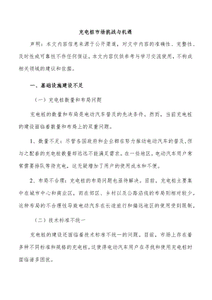 充电桩市场挑战与机遇.docx