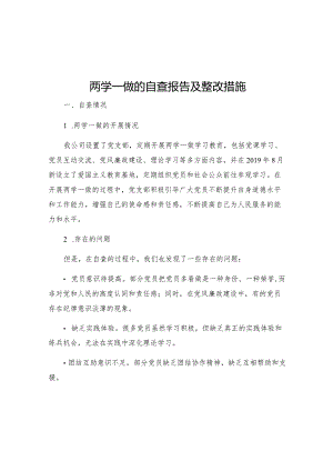 两学一做的自查报告及整改措施.docx