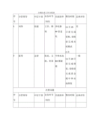 合规自查工作分组表.docx