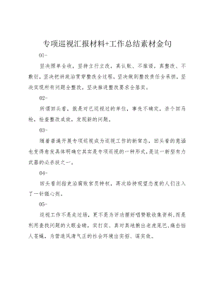 专项巡视汇报材料+工作总结素材金句.docx