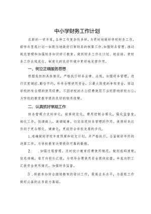 中小学学校财务工作计划.docx