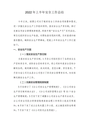 上半年安全生产工作总结.docx