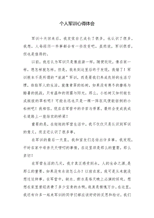 个人军训心得体会.docx
