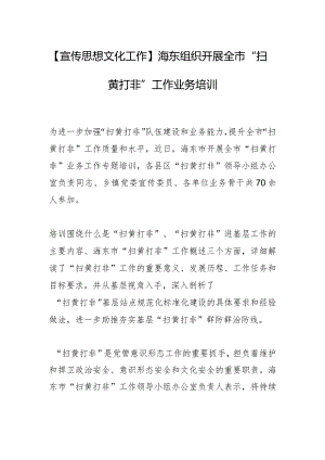 【宣传思想文化工作】海东组织开展全市“扫黄打非”工作业务培训.docx