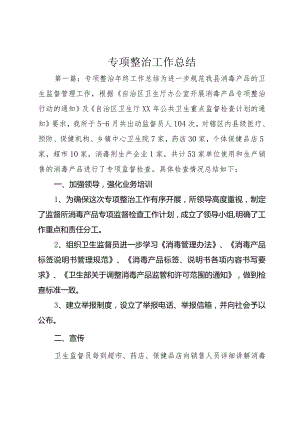 专项整治工作总结.docx