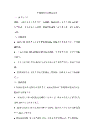 专题组织生活整改方案.docx
