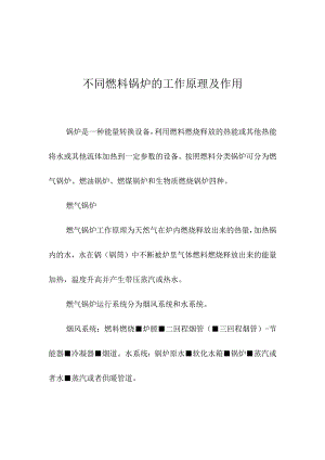 不同燃料锅炉的工作原理及作用.docx
