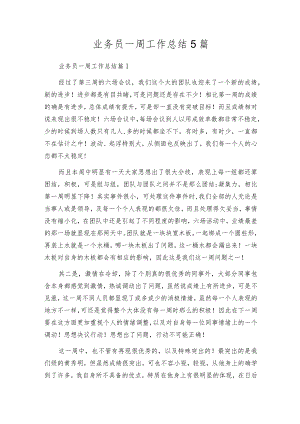 业务员一周工作总结5篇.docx