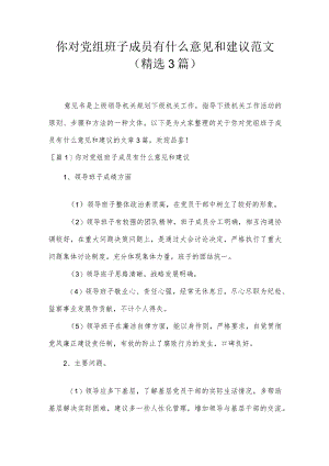 你对党组班子成员有什么意见和建议范文(精选3篇).docx