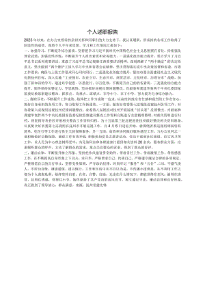 个人述职报告.docx