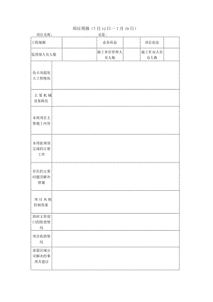 周汇报表格.docx