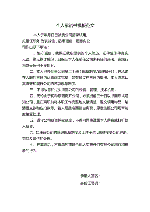 个人承诺书模板范文.docx