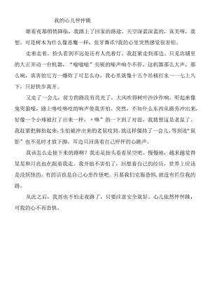 四上我的心儿怦怦跳作文——走夜路.docx